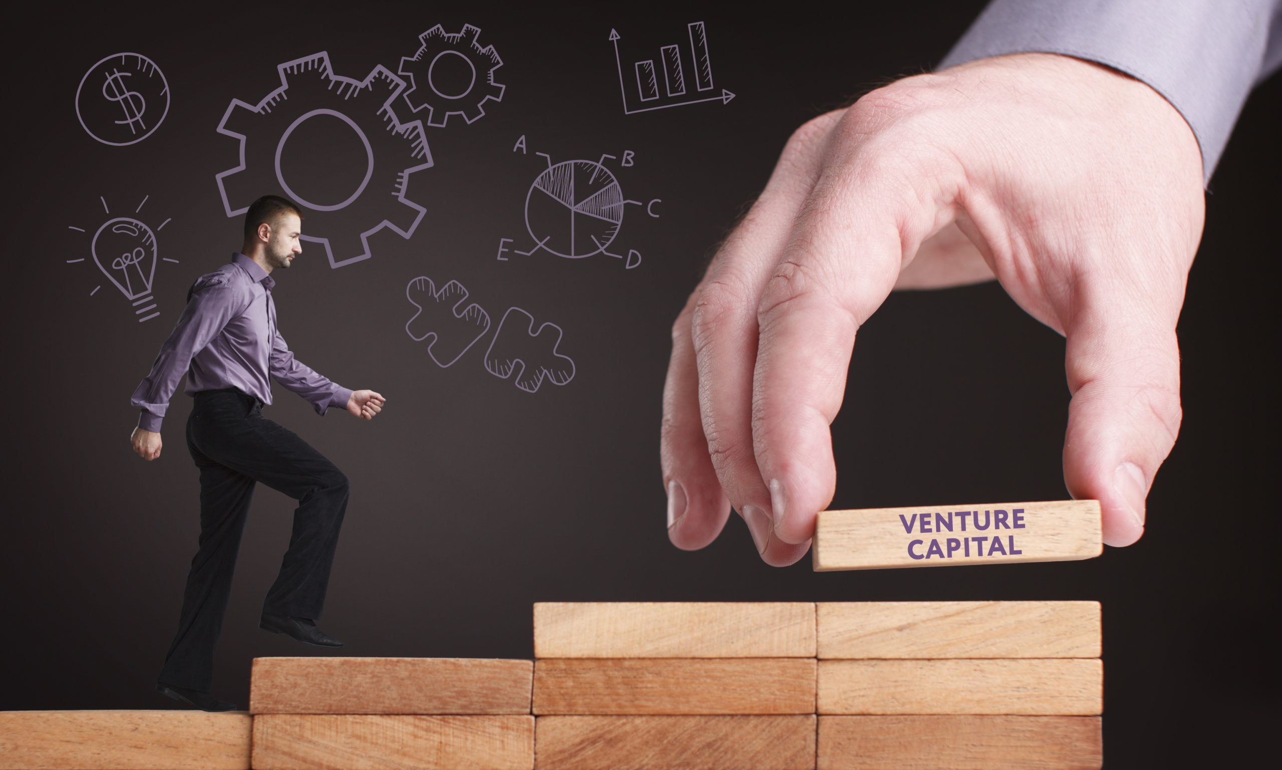 What is a Venture Capital Fund?