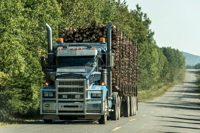 Immigrate To Nova Scotia As A Truck Driver: All You Need To Know
